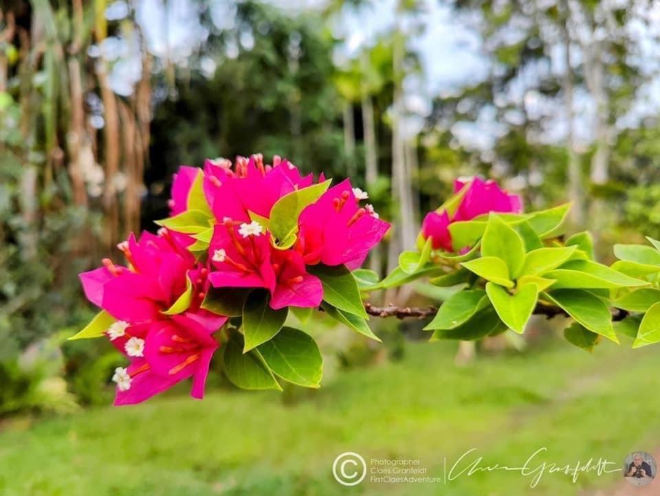 Phurin Thara Resort Ко-Ланта Екстер'єр фото